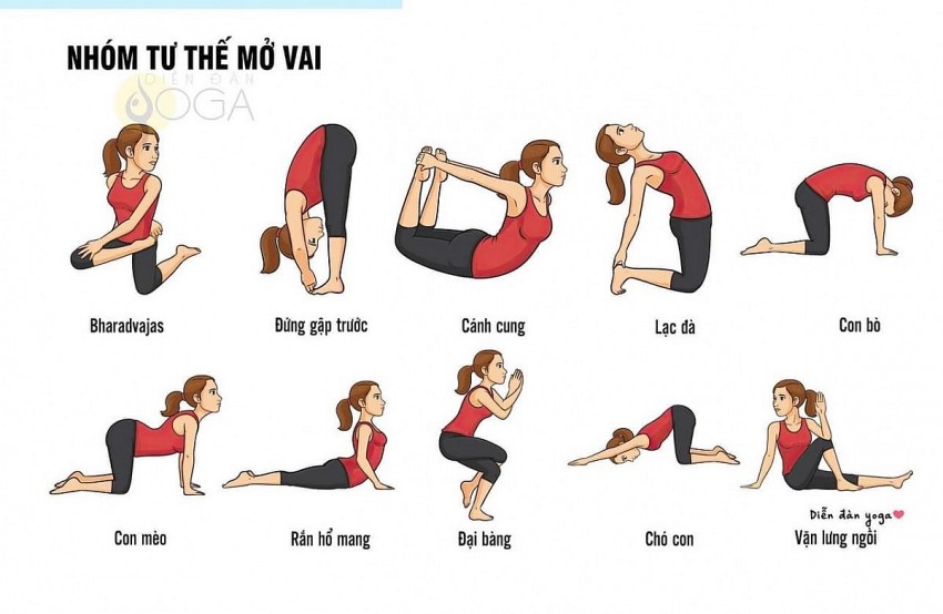 Yoga - Công cụ tái tạo năng lượng cho các nhà lãnh đạo doanh nghiệp