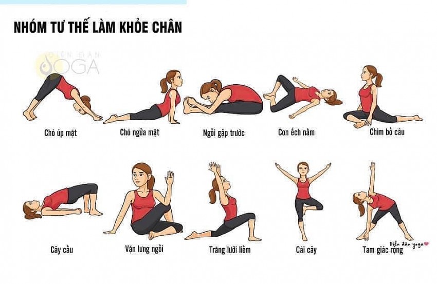 Yoga - Công cụ tái tạo năng lượng cho các nhà lãnh đạo doanh nghiệp