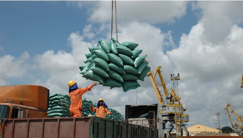 Gạo xuất khẩu Việt Nam sẽ có một năm đạt kỷ lục mới về giá trị và sản lượng