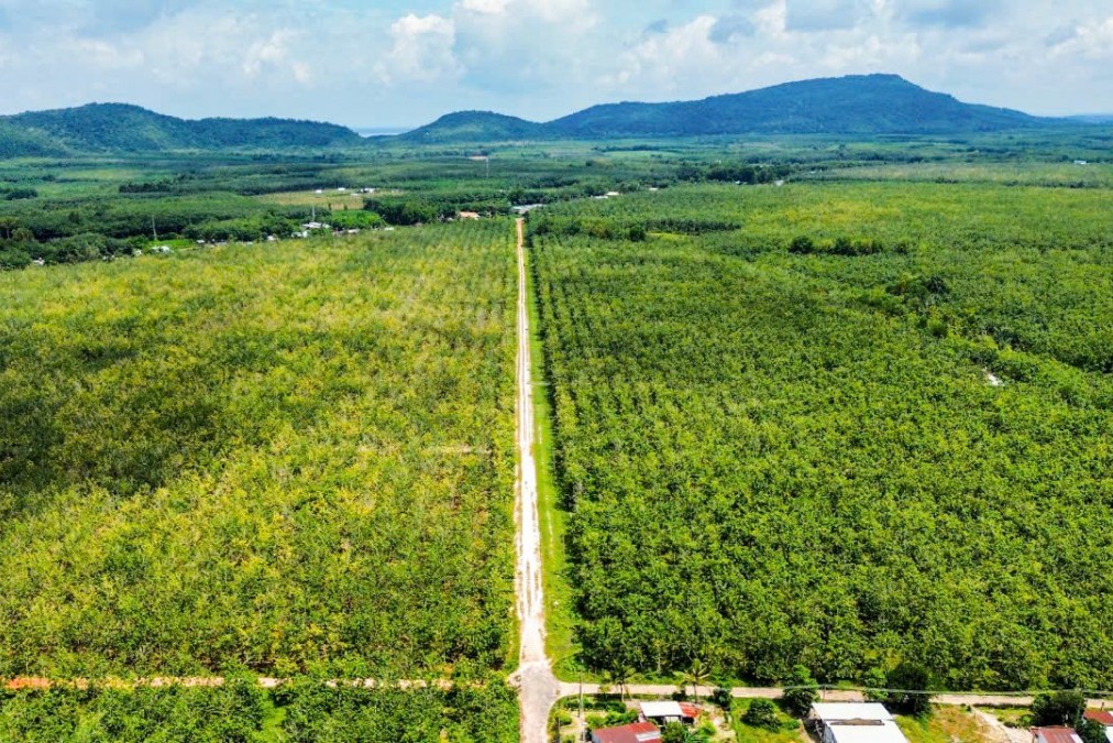 Bình Dương ra điều kiện lựa chọn nhà đầu tư thực hiện dự án có sử dụng đất