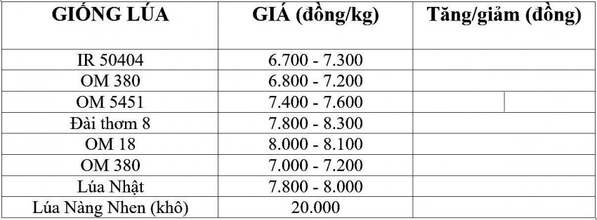 Giá lúa gạo hôm nay 7/11/2024: Giá lúa gạo hôm nay 7/11/2024: