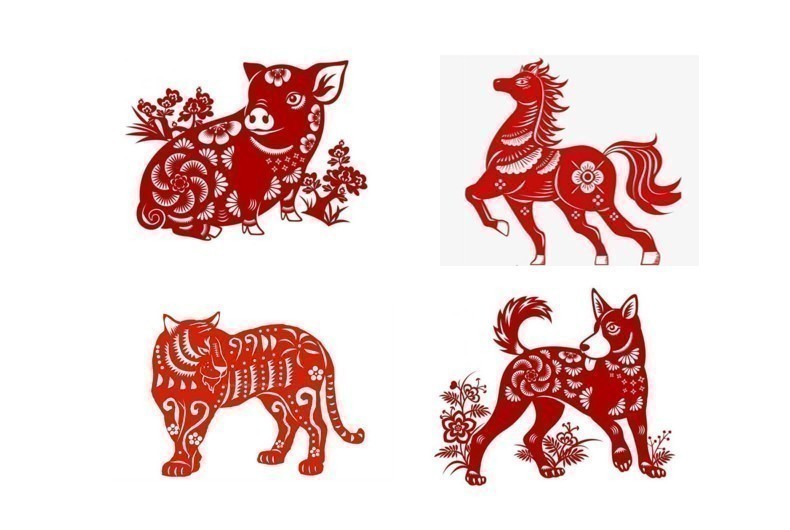 Tử vi - Vận số ngày 1011/2024:  Các tuổi Hợi, Ngọ, Dần, Tuất có nhân duyên, tài lộc ổn định