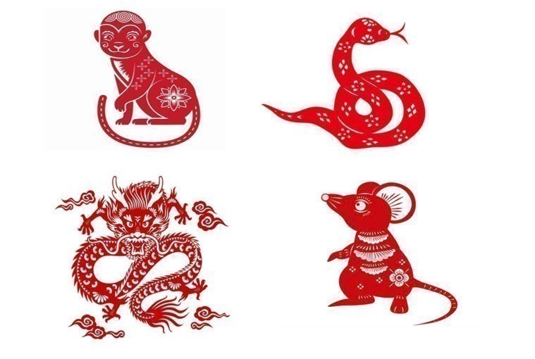 Tử vi - Vận số ngày 1011/2024:  Các tuổi Thân, Tỵ, Thìn, Tý đề phòng gặp tai nạn, cần phải cẩn trọng.