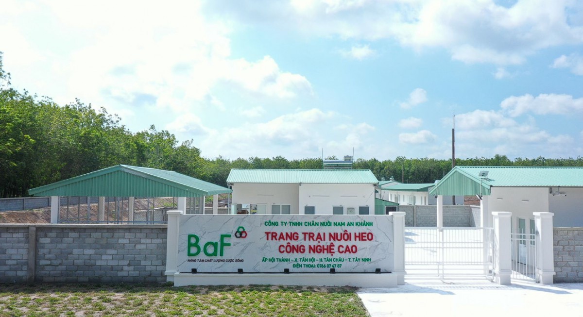 BaF Việt Nam mua lại 49% vốn điều lệ của 5 doanh nghiệp chăn nuôi tại Quảng Trị