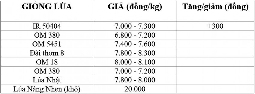 Giá lúa gạo hôm nay 8/11/2024: