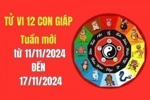 Tử vi tuần mới 12 con giáp từ 11 - 17/11/2024: Tý, Tuất, Thìn, Dậu  may mắn Tài lộc; Ngọ, Mùi, Sửu, Dần gặp khó khắn, trở ngại