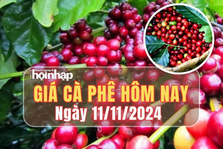 Giá cà phê hôm nay 11/11/2024: So với tuần trước