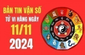 Tử vi - Vận số ngày 11/11/2024: Tuất, Hợi, Mão, Mùi vận trình Tài lộc tươi sáng, công việc chuyển biến tích cực