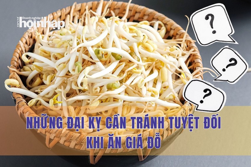 Những đại kỵ cần tránh tuyệt đối khi ăn giá đỗ Những đại kỵ cần tránh tuyệt đối khi ăn giá đỗ