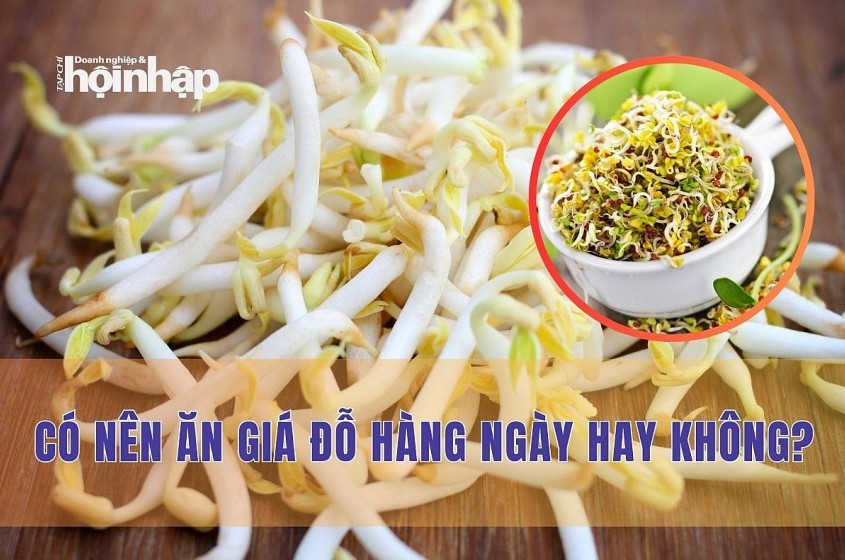 Có nên ăn giá đỗ hàng ngày hay không?