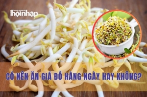 Có nên ăn giá đỗ hàng ngày hay không?