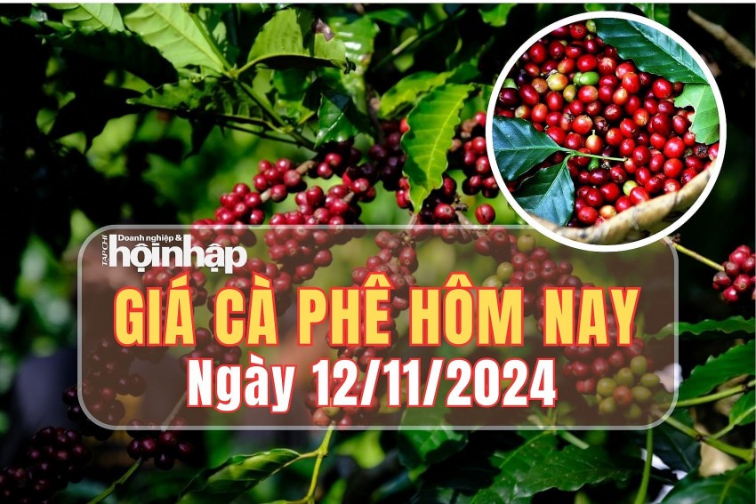 Giá cà phê hôm nay 12/11/2024: Giá cà phê robusta London tăng 2,29%, ở mức 4.476 USD/tấn