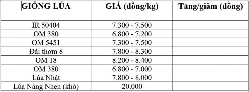 Bảng giá lúa hôm nay 12/11/2024.