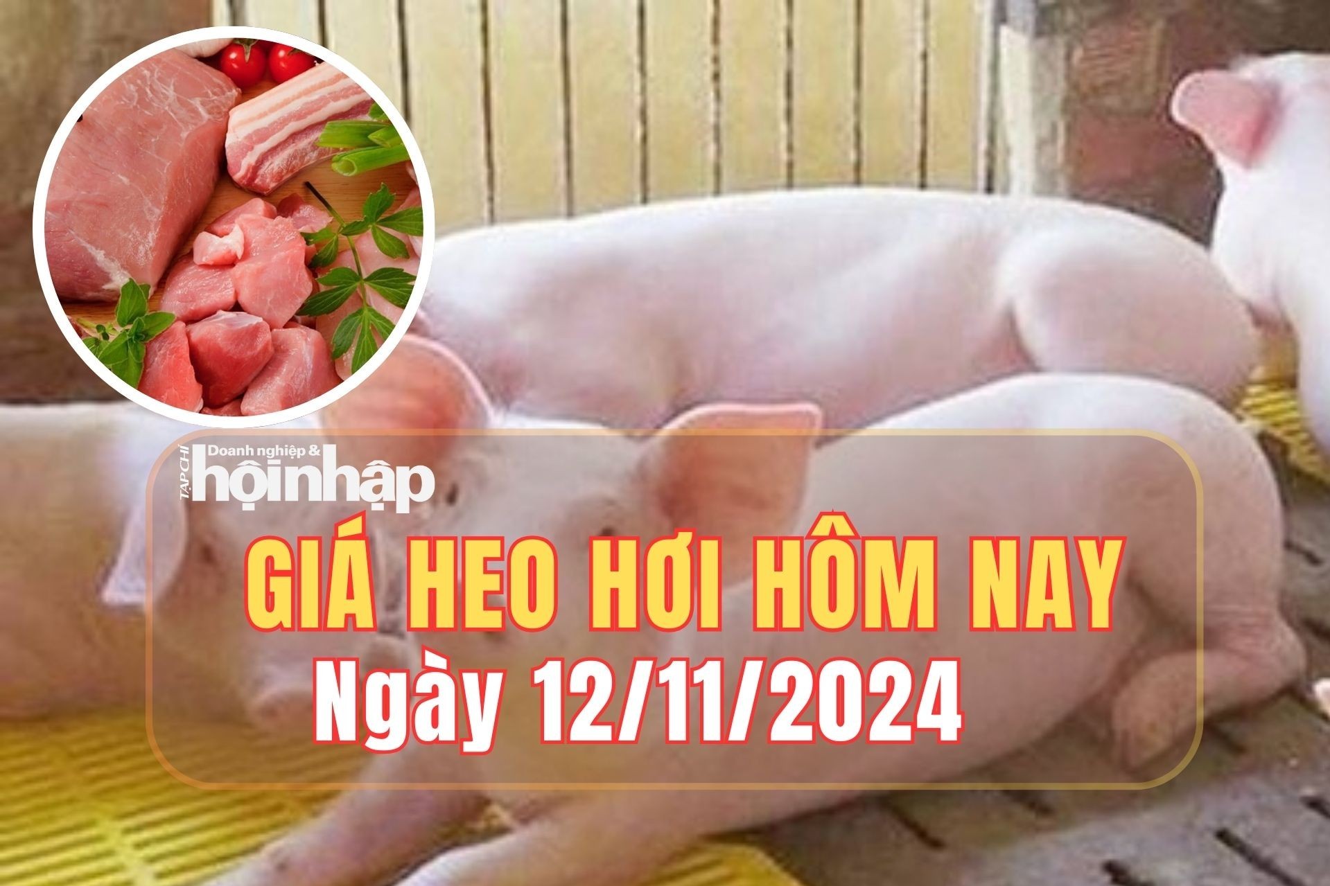 Giá heo hơi hôm nay 12/11/2024: Giá heo hơi ổn định trên cả nước