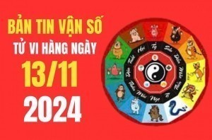 Tử vi - Vận số ngày 13/11/2024: Thân, Dậu, Tỵ, Sửu Công việc thuận lợi, nhiều Tài lộc và may mắn