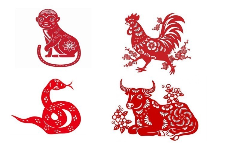 Tử vi - Vận số ngày 13/11/2024:  Các tuổi Dậu, Tý, Thân, Thìn đón nhận nhiều thuận lợi, đạt thành tích ấn tượng