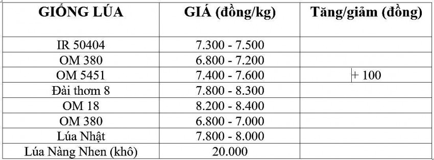 Giá lúa gạo hôm nay 13/11/2024: