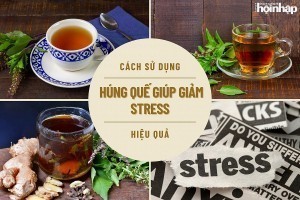 Cách sử dụng húng quế giúp giảm stress hiệu quả