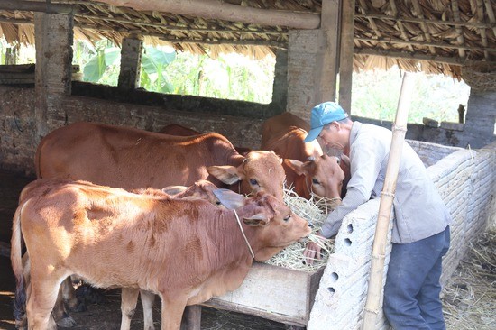 Nỗ lực đào tạo nghề cho lao động nông thôn ở huyện Yên Lập, tỉnh Phú Thọ