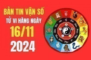 Tử vi - Vận số ngày 16/11/2024: Tỵ, Tý, Thân, Thìn may mắn, thuận lợi về mặt tài chính, sự nghiệp có triển vọng