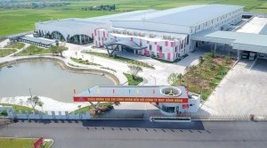 Cổ phiếu MSH tăng mạnh sau tin tạm ưng cổ tức 35% bằng tiền