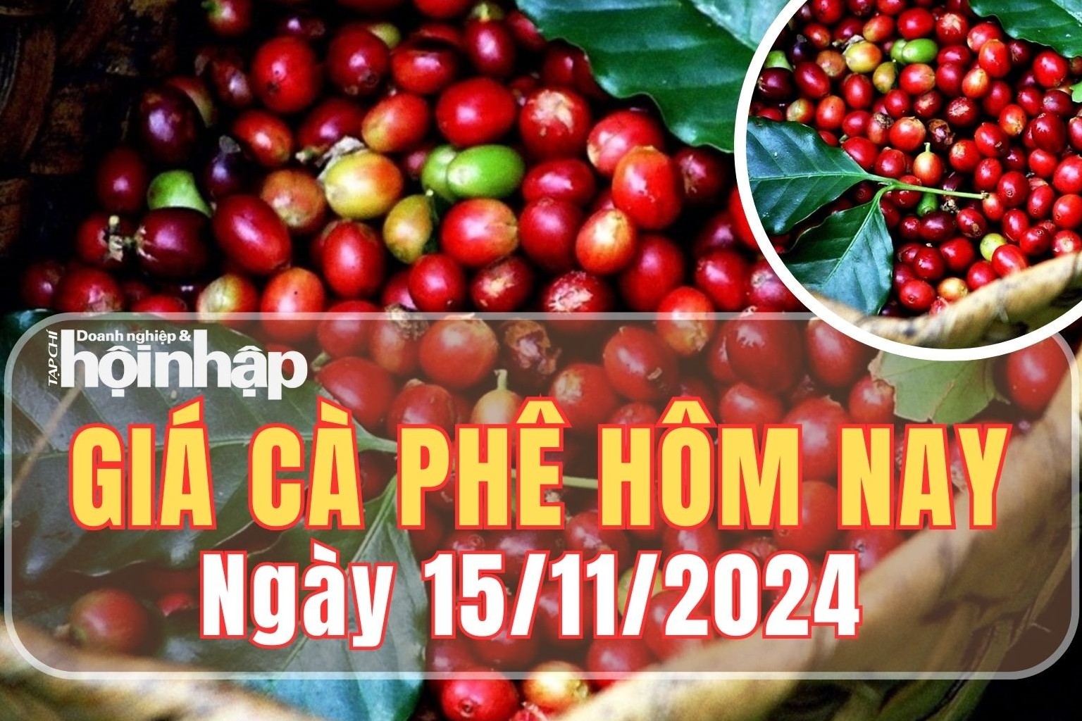 Giá cà phê hôm nay 15/11/2024: Giá cà phê trong nước tăng 400 đồng/kg