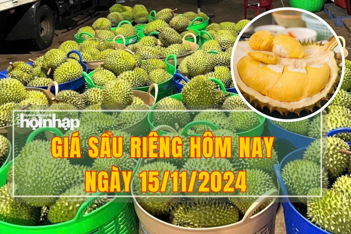 Giá sầu riêng hôm nay 15/11: Thị trường tiếp đà tăng nhẹ