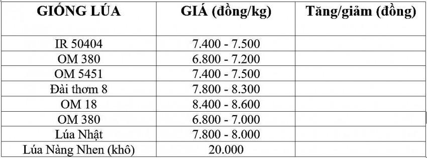 Giá lúa gạo hôm nay 15/11/2024: