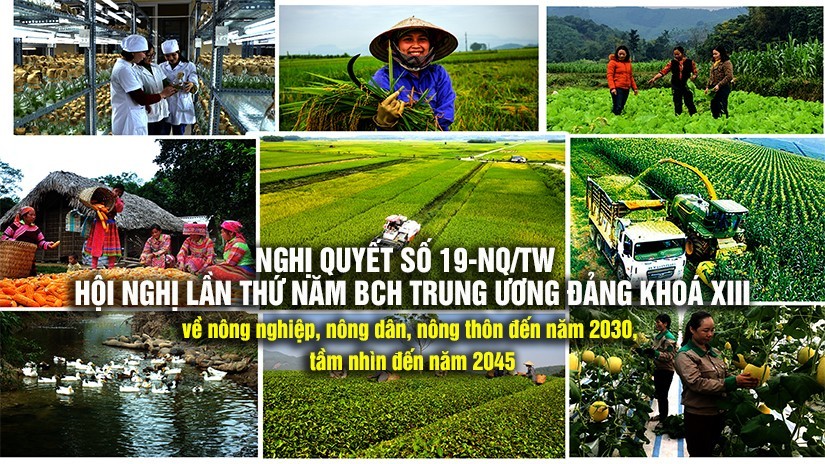 Luật Đất đai 2024