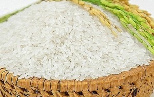 Giá lúa gạo hôm nay 16/11/2024: Điều chỉnh tăng 50 đồng/kg với gạo IR 504 Hè Thu