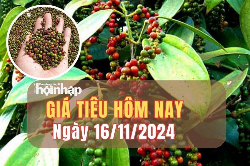 Giá tiêu hôm nay 16/11: Giá tiêu trong nước tăng 500 - 1.000 đồng