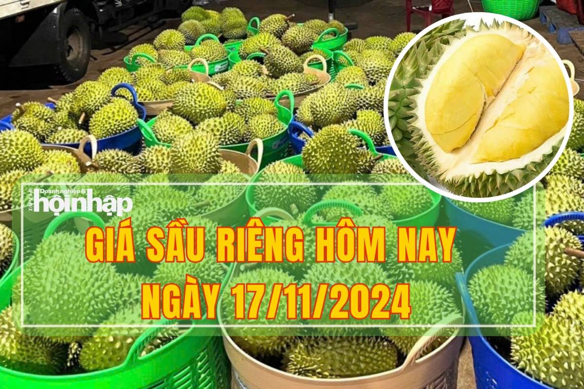 Giá sầu riêng hôm nay 17/11: Thị trường sầu riêng Thái và Ri6 đồng loạt giảm