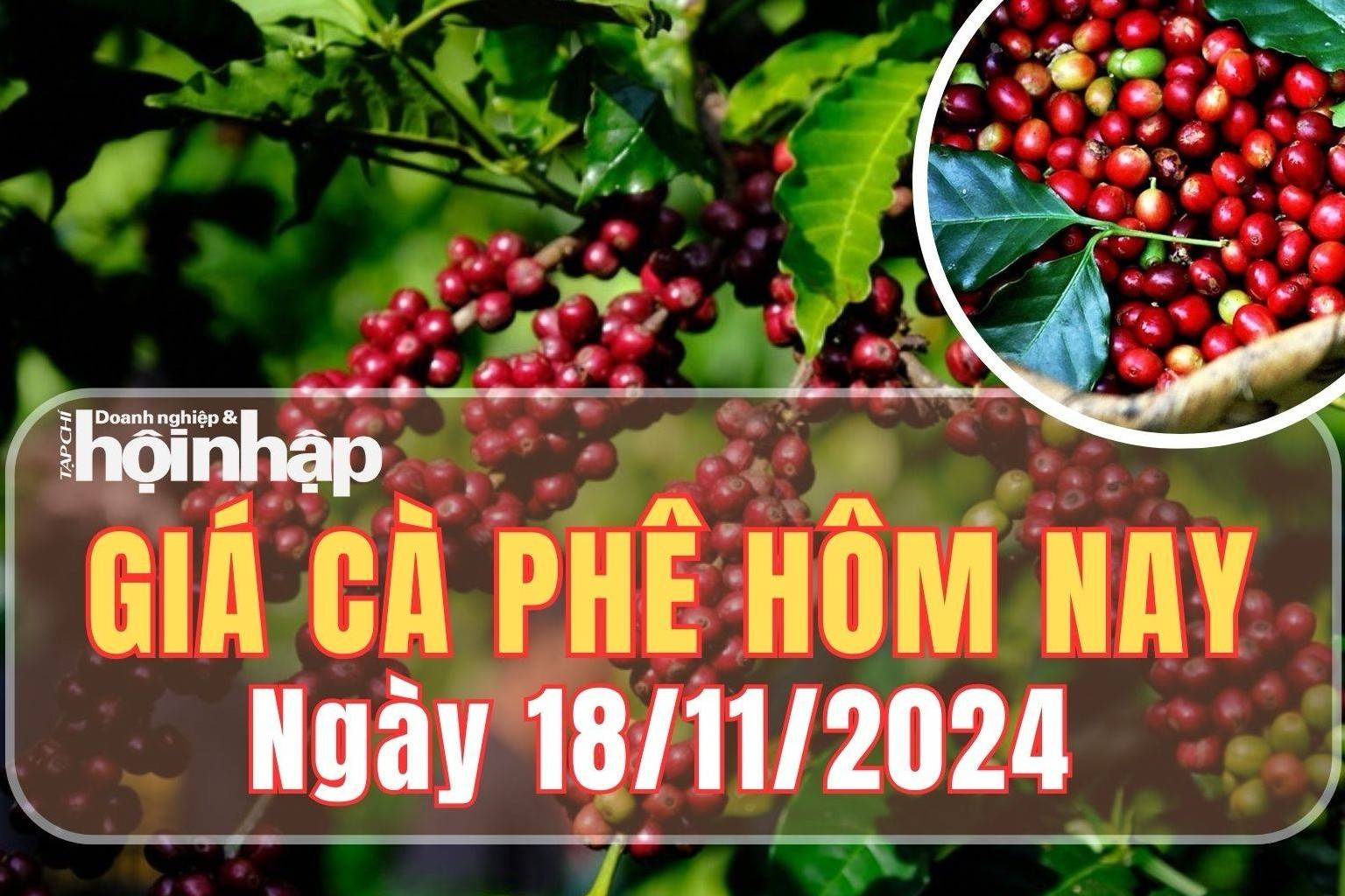 Giá cà phê hôm nay 18/11/2024: Đầu tuần, giá cà phê ổn định