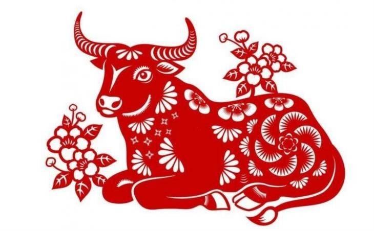 Tử vi tuần mới 18 - 24/11/2024 tuổi Sửu Tử vi tuần mới 18 - 24/11/2024 tuổi Sửu