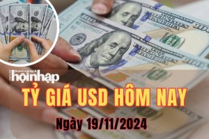 Tỷ giá USD hôm nay 19/11/2024: Đồng USD thế giới giảm xuống mức 106,22 điểm