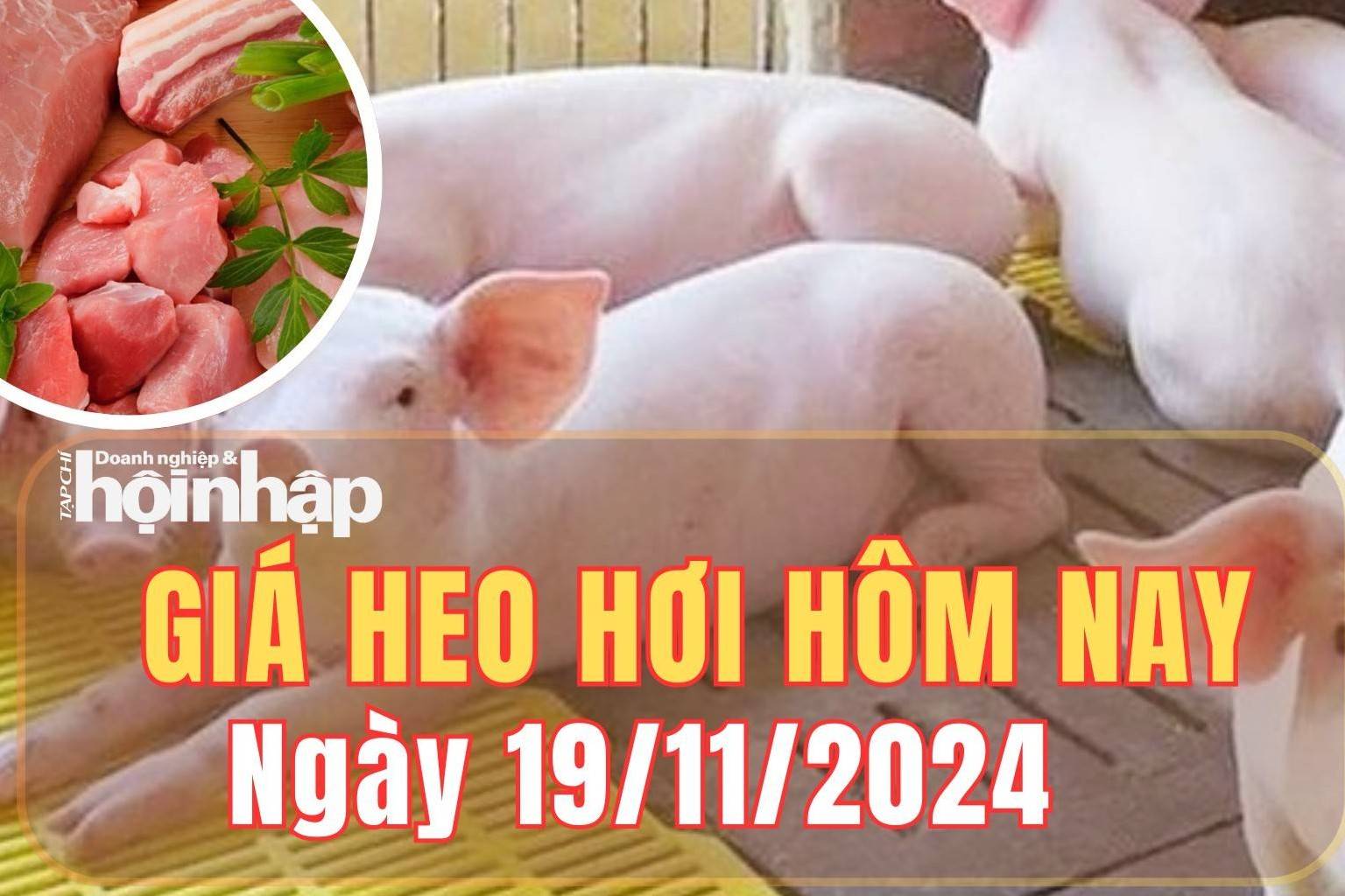 Giá heo hơi hôm nay 19/11/2024: Giá heo hơi giảm từ 1.000 - 2.000 đồng/kg ở một số địa phương