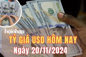 Tỷ giá USD hôm nay 20/11/2024: Đồng USD trong nước và thế giới tăng - giảm trái chiều