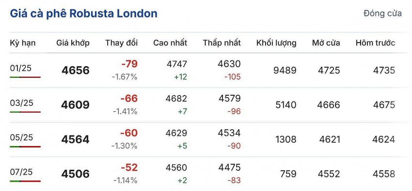 Giá cà phê hôm nay 20/11/2024: Giá cà phê trong nước duy trì đà tăng mạnh