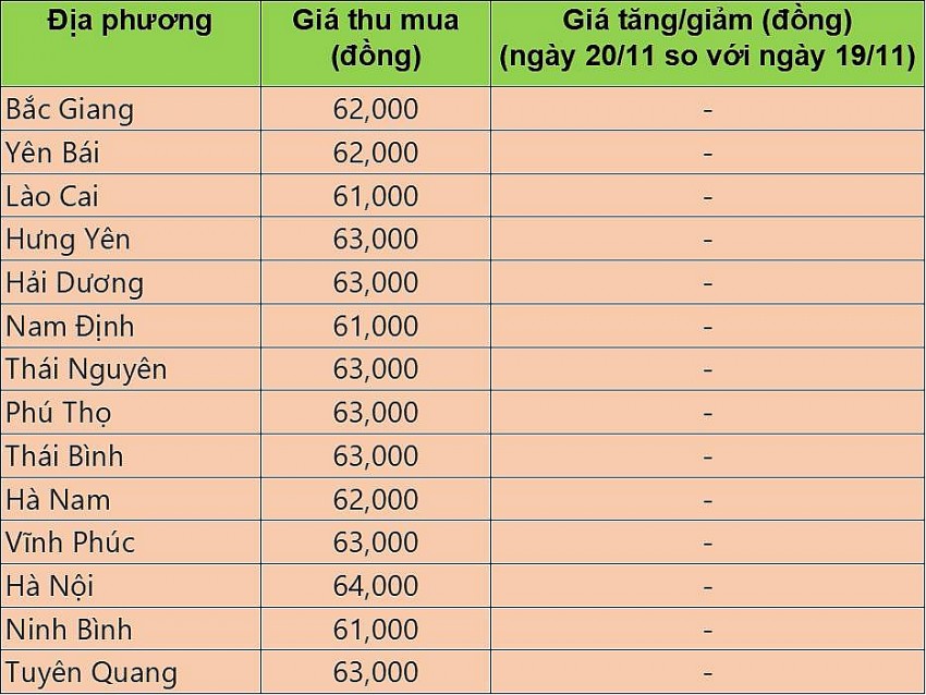 Giá heo hơi hôm nay 20/11/2024: