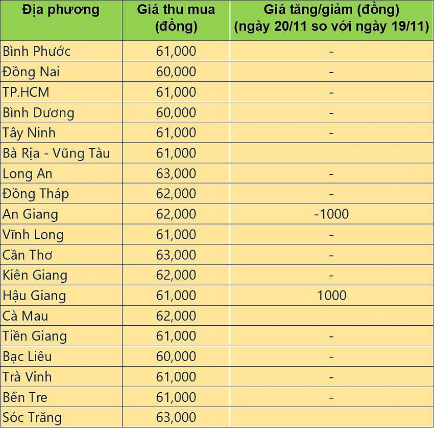 Giá heo hơi hôm nay 20/11/2024: