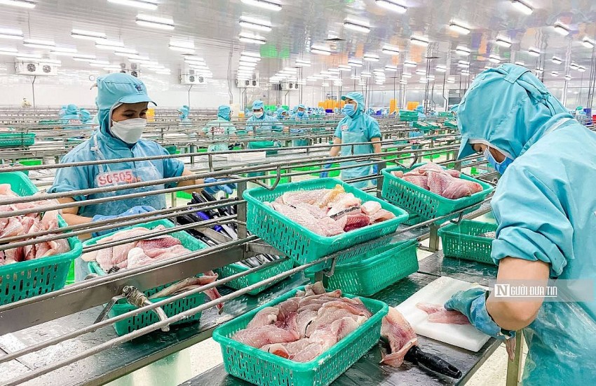 Lạc quan về triển vọng xuất khẩu cá tra Việt Nam năm 2025