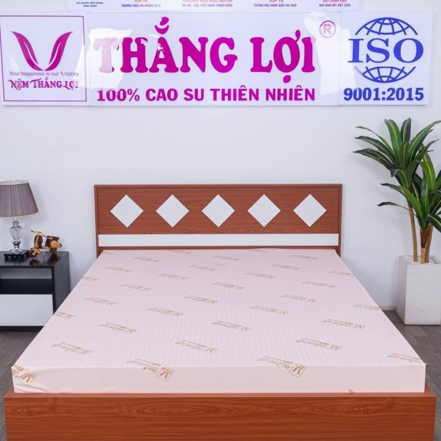 Công ty TNHH Nệm Thắng Lợi: Thương hiệu hàng đầu trong lĩnh vực sản xuất và phân phối nệm cao cấp