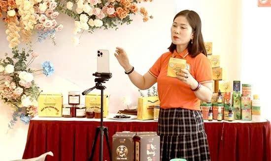 Phú Thọ: Tập huấn kỹ năng kinh doanh số cho các doanh nghiệp, hợp tác xã
