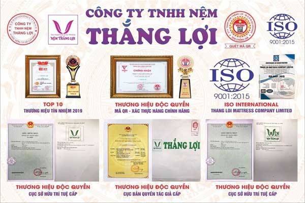 Công ty TNHH Nệm Thắng Lợi: Thương hiệu hàng đầu trong lĩnh vực sản xuất và phân phối nệm cao cấp
