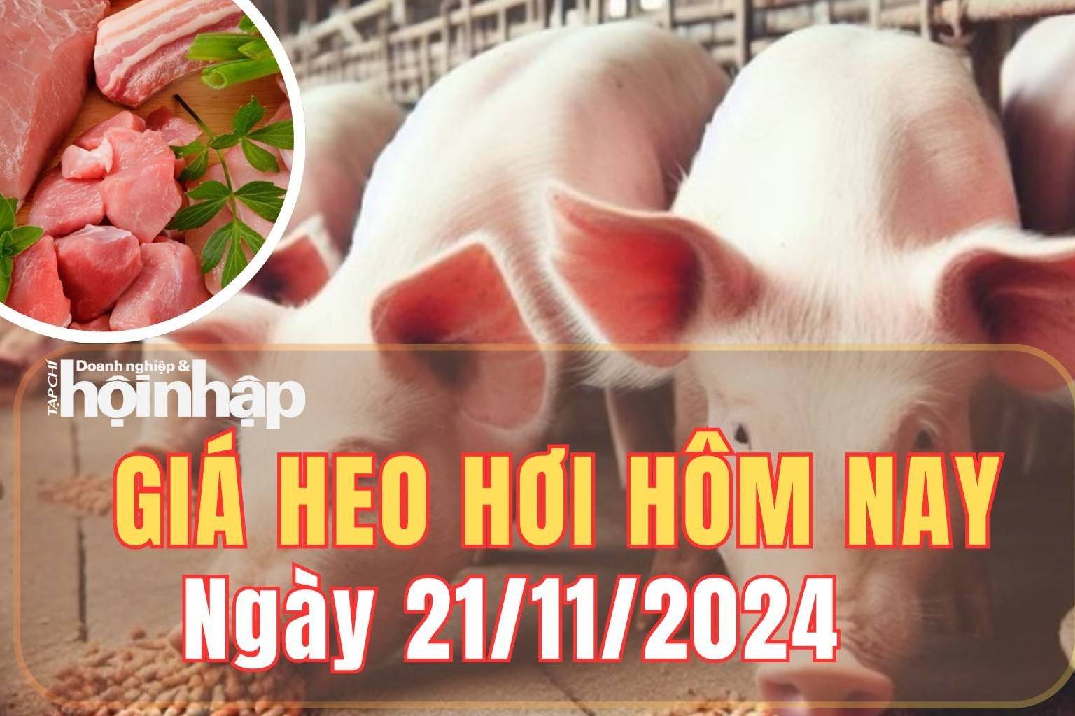 Giá heo hơi hôm nay 21/11/2024: Tại miền Trung và miền Nam, giá heo hơi biến động trái chiều