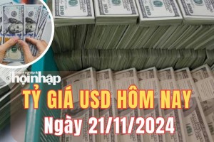 Tỷ giá USD hôm nay 21/11/2024: Sau 3 phiên giảm, Chỉ số DXY tăng 0,45%