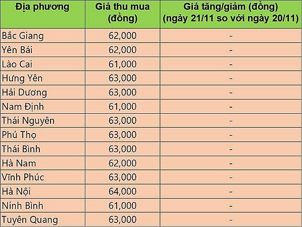 Giá heo hơi hôm nay 21/11/2024: