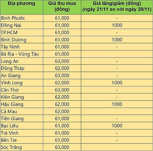 Giá heo hơi hôm nay 21/11/2024: