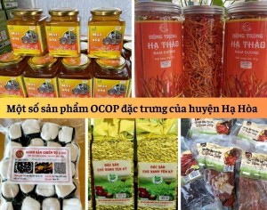 Phú Thọ: Phát triển sản phẩm OCOP, hướng đi bền vững cho nền kinh tế ở Hạ Hòa