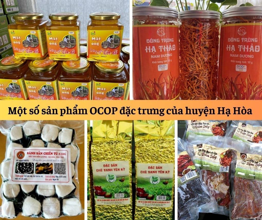 Phú Thọ: Phát triển sản phẩm OCOP, hướng đi bền vững cho nền kinh tế ở Hạ Hòa